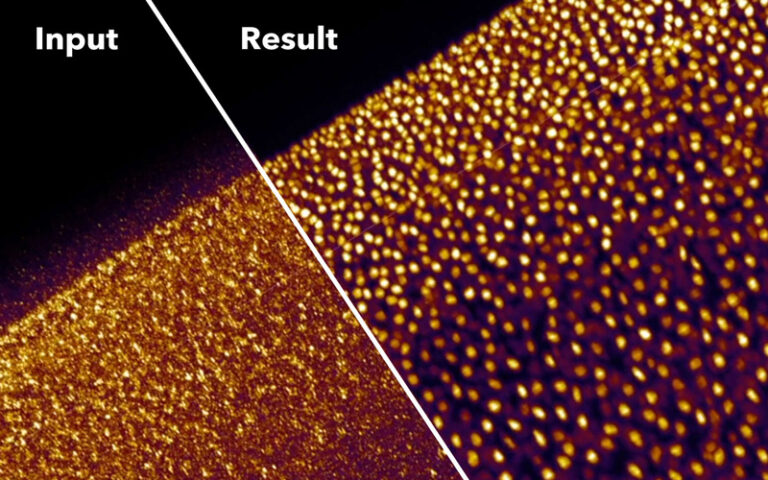 Computer Vision Meets Biology – Basic Research Requires Open Source Solutions