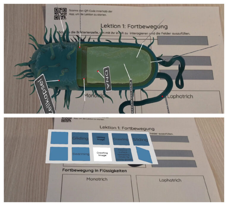 Augmented Bacteria – Learning with Augmented Reality
