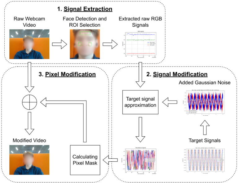 Invisible Signals in you Webcam Stream: Extracting and Modifying your Heartrate